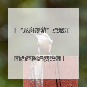 “龙舟溪游”点燃江南西商圈消费热潮