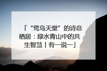 “鹭鸟天堂”的诗意栖居：绿水青山中的共生智慧丨有一说一