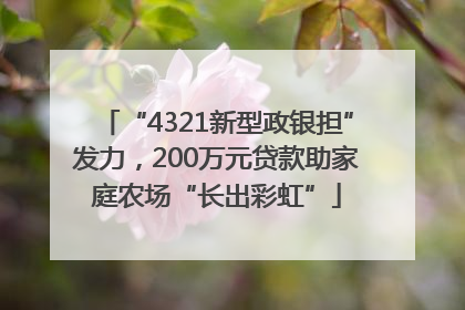 “4321新型政银担”发力，200万元贷款助家庭农场“长出彩虹”