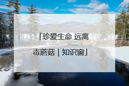 珍爱生命 远离毒蘑菇｜知识窗