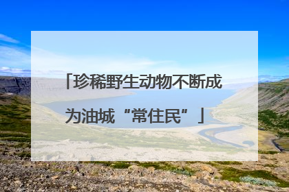 珍稀野生动物不断成为油城“常住民”