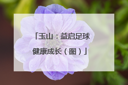 玉山：益启足球 健康成长（图）