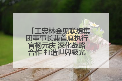 王忠林会见联想集团董事长兼首席执行官杨元庆 深化战略合作 打造世界级光电子信息产业集群