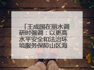 王成国在丽水调研时强调：以更高水平安全和法治环境服务保障山区海岛县高质量发展