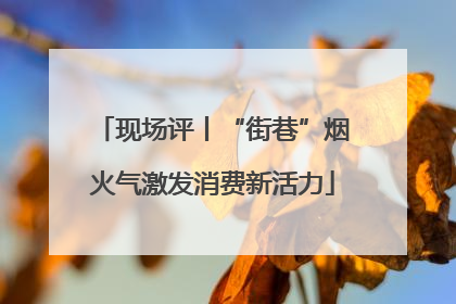 现场评丨“街巷”烟火气激发消费新活力