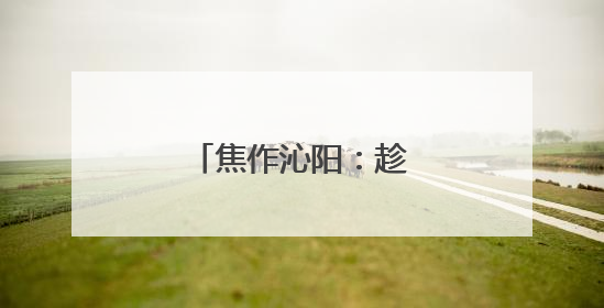 焦作沁阳：趁天抢时麦收忙