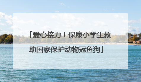 爱心接力！保康小学生救助国家保护动物冠鱼狗