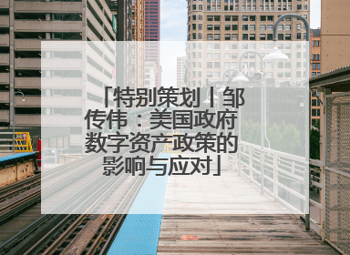 特别策划丨邹传伟：美国政府数字资产政策的影响与应对