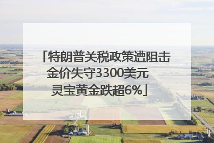 特朗普关税政策遭阻击金价失守3300美元 灵宝黄金跌超6%