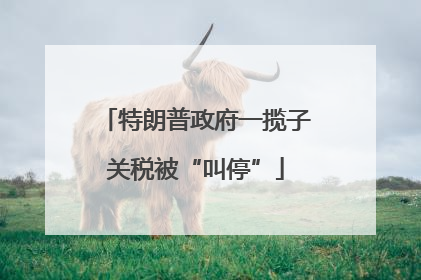 特朗普政府一揽子关税被“叫停”