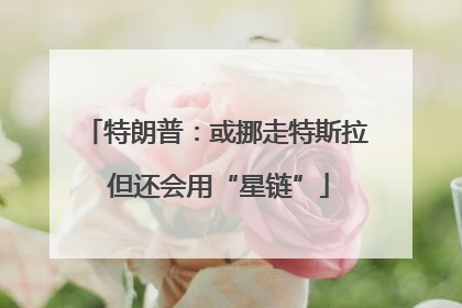 特朗普：或挪走特斯拉 但还会用“星链”