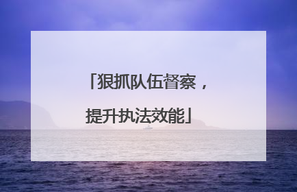 狠抓队伍督察，提升执法效能