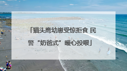 猫头鹰幼崽受惊拒食 民警“奶爸式”暖心投喂