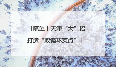 瞭望丨天津“大”招打造“双循环支点”