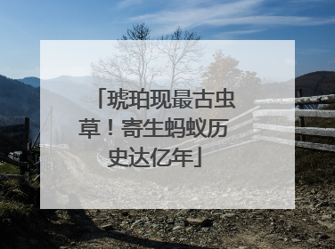 琥珀现最古虫草！寄生蚂蚁历史达亿年