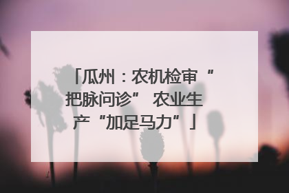 瓜州：农机检审“把脉问诊” 农业生产“加足马力”