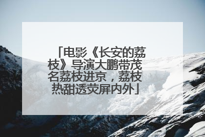 电影《长安的荔枝》导演大鹏带茂名荔枝进京，荔枝热甜透荧屏内外