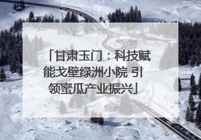 甘肃玉门：科技赋能戈壁绿洲小院 引领蜜瓜产业振兴