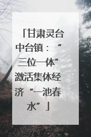 甘肃灵台中台镇：“三位一体”激活集体经济“一池春水”