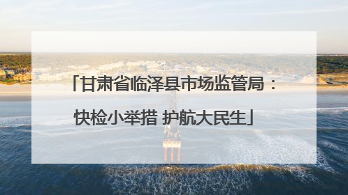 甘肃省临泽县市场监管局：快检小举措 护航大民生