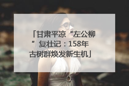 甘肃平凉“左公柳”复壮记：158年古树群焕发新生机