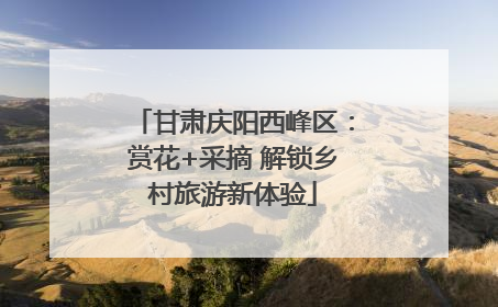 甘肃庆阳西峰区：赏花+采摘 解锁乡村旅游新体验