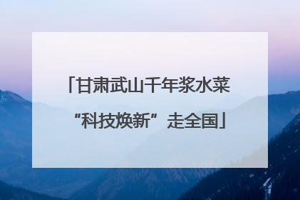 甘肃武山千年浆水菜“科技焕新”走全国