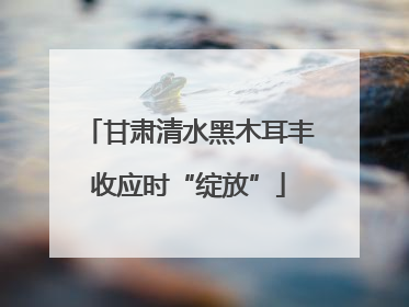 甘肃清水黑木耳丰收应时“绽放”