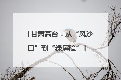 甘肃高台：从“风沙口”到“绿屏障”