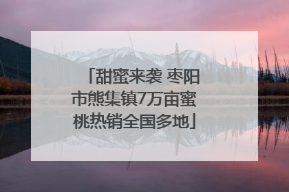 甜蜜来袭 枣阳市熊集镇7万亩蜜桃热销全国多地