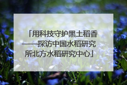 用科技守护黑土稻香——探访中国水稻研究所北方水稻研究中心