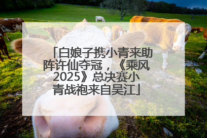 白娘子携小青来助阵许仙夺冠，《乘风2025》总决赛小青战袍来自吴江