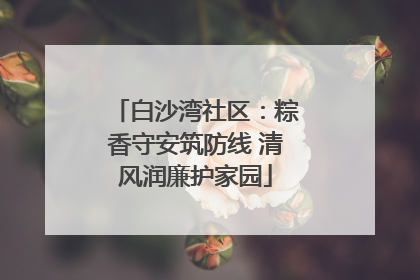 白沙湾社区：粽香守安筑防线 清风润廉护家园