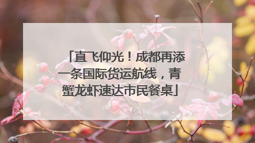 直飞仰光！成都再添一条国际货运航线，青蟹龙虾速达市民餐桌
