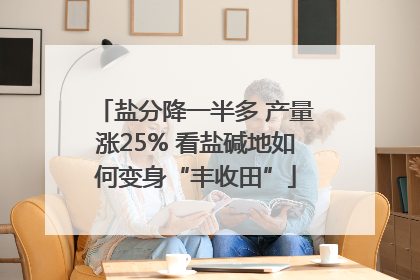 盐分降一半多 产量涨25% 看盐碱地如何变身“丰收田”