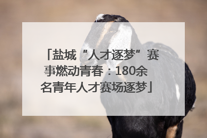 盐城“人才逐梦”赛事燃动青春：180余名青年人才赛场逐梦