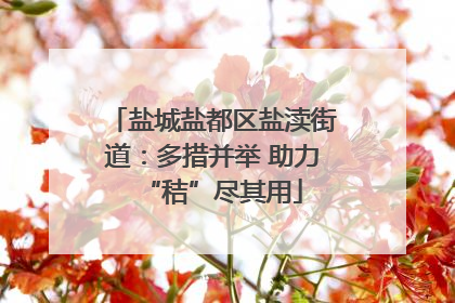 盐城盐都区盐渎街道：多措并举 助力“秸”尽其用
