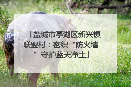 盐城市亭湖区新兴镇联盟村：密织“防火墙”守护蓝天净土