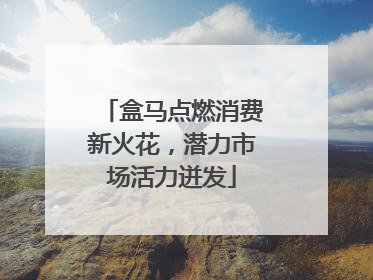 盒马点燃消费新火花，潜力市场活力迸发
