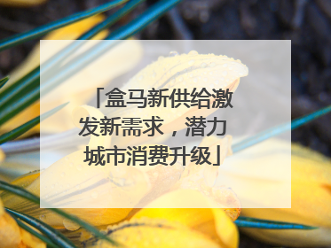 盒马新供给激发新需求，潜力城市消费升级