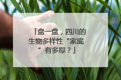 盘一盘，四川的生物多样性“家底”有多厚？