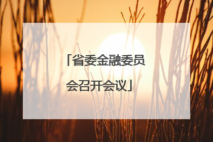 省委金融委员会召开会议