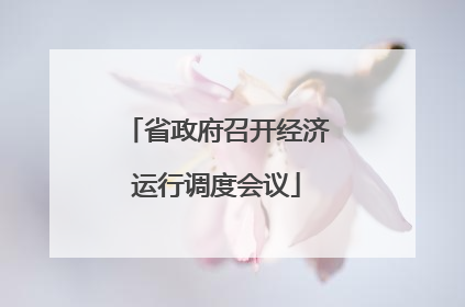 省政府召开经济运行调度会议