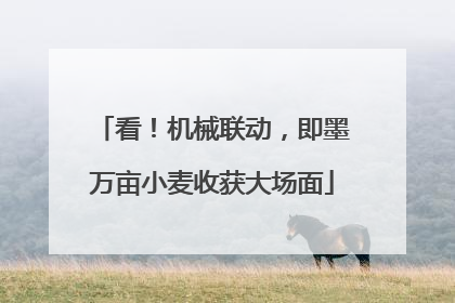 看！机械联动，即墨万亩小麦收获大场面