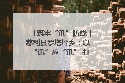 筑牢“汛”防线｜慈利县罗塔坪乡：以“迅”应“汛” 打赢暴雨防御战