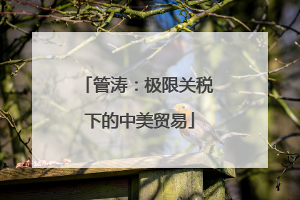 管涛：极限关税下的中美贸易