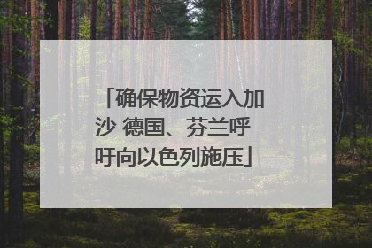 确保物资运入加沙 德国、芬兰呼吁向以色列施压