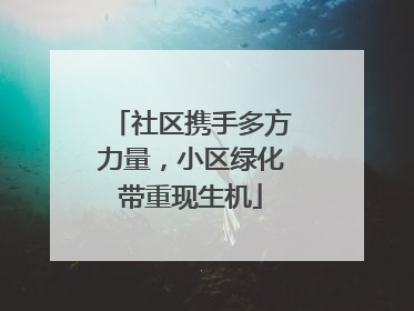 社区携手多方力量，小区绿化带重现生机