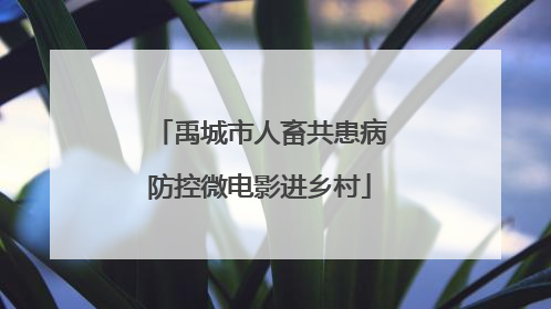 禹城市人畜共患病防控微电影进乡村