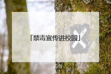 禁毒宣传进校园